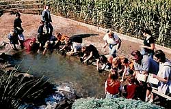 You'll love "panning for gold" (marbles) at the Coyote Mountain Mine at Bishop's Pumpkin Farm in Wheatland, California