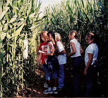 Take the Corn Maze Challenge at Bishop's Pumpkin Farm in Wheatland, California 