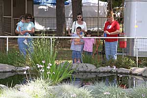 See our golden pond at Bishop's Pumpkin Farm in Wheatland, California