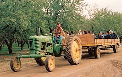 Hayrides, bonfires, corn maze, coyote mountain- all provide a great group event at Bishop's Pumpkin Farm in Wheatland, California