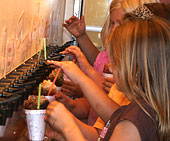 Shaved ice at Pigadeli Square, Bishops Pumpkin Farm, Wheatland, California