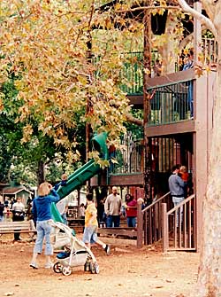 Climb to the very top of the treehouse at Bishop's Pumpkin Farm in Wheatland, California