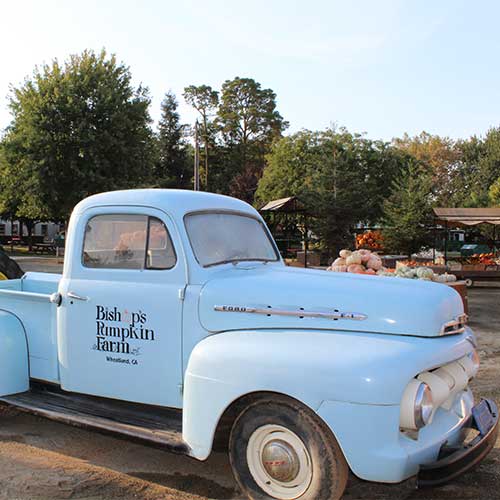 Donations for charity organizations from Bishop's Pumpkin Farm in Wheatland, California