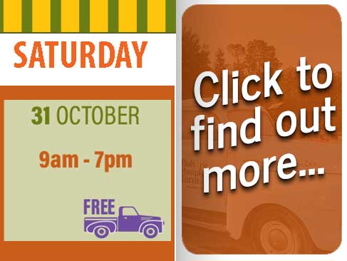 Hours & Pricing for Bishop's Pumpkin Farm in Wheatland