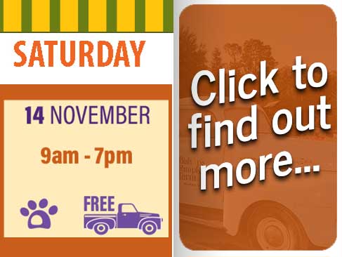 Hours & Pricing for Bishop's Pumpkin Farm in Wheatland