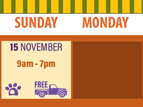 Hours & Pricing for Bishop's Pumpkin Farm in Wheatland