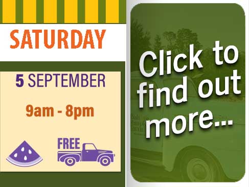 Hours & Pricing for Bishop's Pumpkin Farm in Wheatland