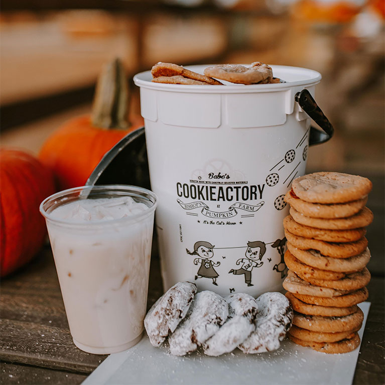 It's always dessert time at Babe's Cookieactory! Stop in today for a bucket of gooey chocolate chip cookies!